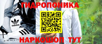 трава Канаш