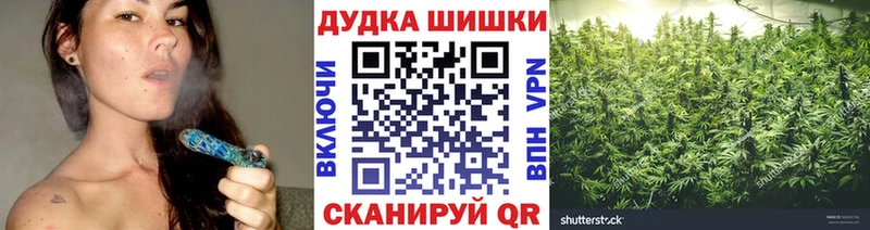 Бошки марихуана планчик  Кисловодск 